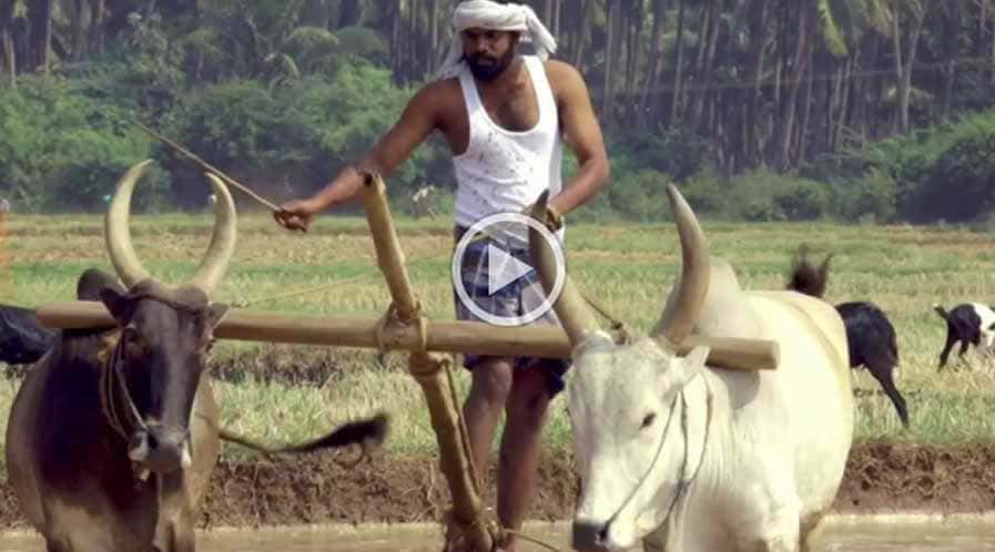 best wedding photographers in sivakasi,best wedding photography in sivakasi,best candid photographers in sivakasi,best candid photography in sivakasi,best marriage photographers in sivakasi,best marriage photography in sivakasi,best photographers in sivakasi,best photography in sivakasi,best wedding candid photography in sivakasi,best wedding candid photographers in sivakasi,best wedding video in sivakasi,best wedding videographers in sivakasi,best wedding videography in sivakasi,best candid videographers in sivakasi,best candid videography in sivakasi,best marriage videographers in sivakasi,best marriage videography in sivakasi,best videographers in sivakasi,best videography in sivakasi,best wedding candid videography in sivakasi,best wedding candid videographers in sivakasi,best helicam operators in sivakasi,best drone operators in sivakasi,best wedding studio in sivakasi,best professional photographers in sivakasi,best professional photography in sivakasi,No.1 wedding photographers in sivakasi,No.1 wedding photography in sivakasi,sivakasi wedding photographers,sivakasi wedding photography,sivakasi wedding videos,best candid videos in sivakasi,best candid photos in sivakasi,best helicam operators photography in sivakasi,best helicam operator photographers in sivakasi,best outdoor videography in sivakasi,best professional wedding photography in sivakasi,best outdoor photography in sivakasi,best outdoor photographers in sivakasi,best drone operators photographers in sivakasi,best wedding candid videography in sivakasi